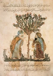 Abou Zayd spricht mit Al-Harith, aus Al Maqamat von Al Hariri, ca. 1240